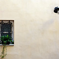 Courtyard Window and Light